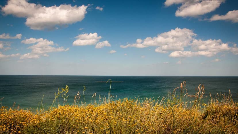 Pe Firm Somerset Indus Closes 288 Million Fund Iii Beats Target