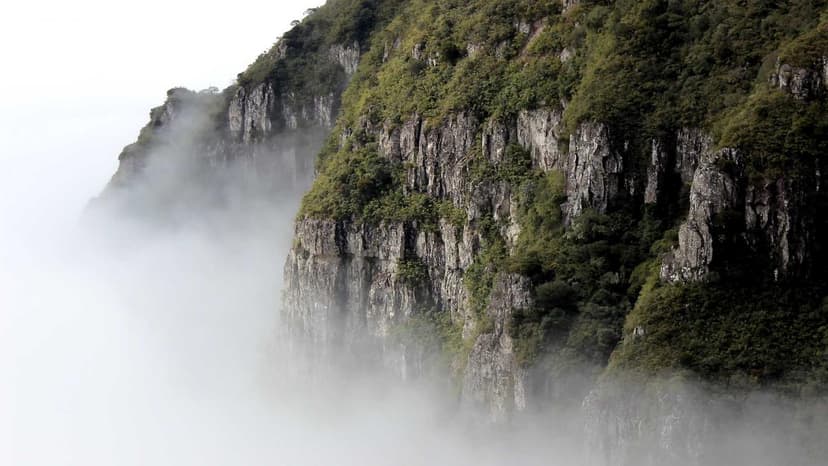 Stellantis: A Year of Reckoning and Rebuilding