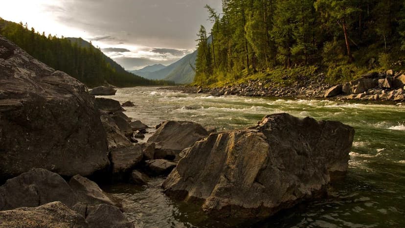 Industry Telecom Regulator Tightens Norms On Tariff Reporting And Financial Disclosures