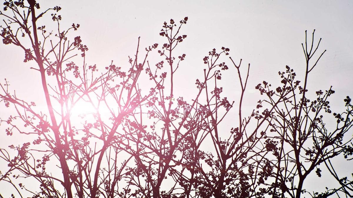 From Wealth to Wisdom: Top Traits That Define Great Investors