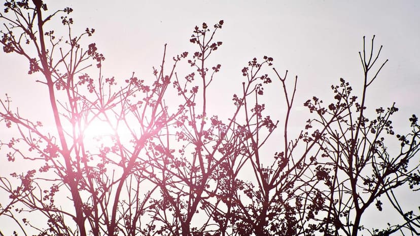 From Wealth to Wisdom: Top Traits That Define Great Investors