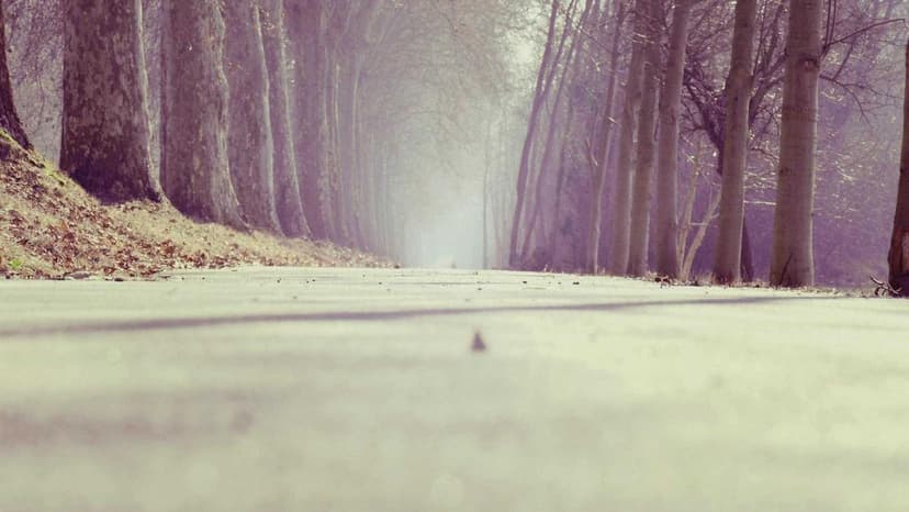 Uncia Secures $3 Million from Pavestone to Fuel Growth and International Expansion