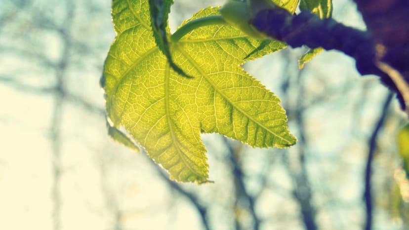 Anil Agarwal Says Vedanta Got Written Win for Jaypee Group Asset Bid, Later Reversed