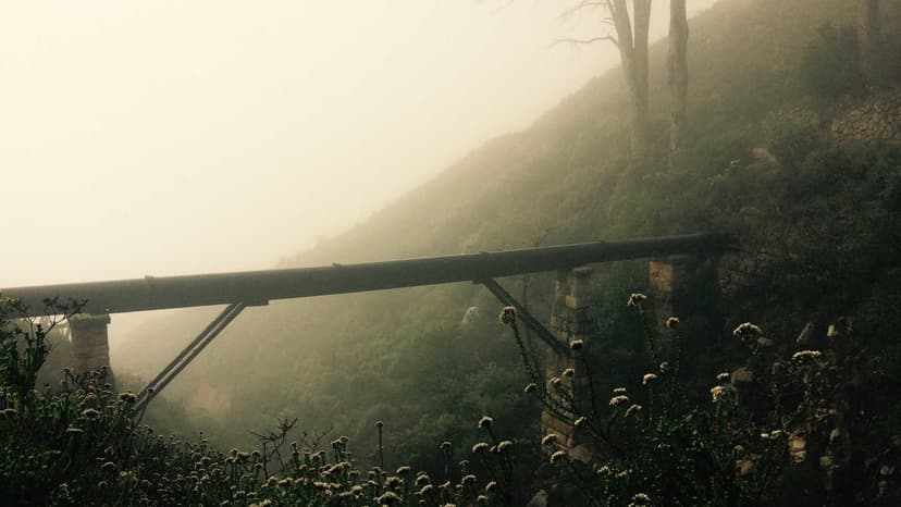 Wheat Prices Surge to Multi-Month Highs Amidst Geopolitical Tensions