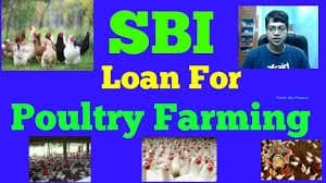 poultry farm setup loans under sbi agricultural credit grid eligibility documentation
